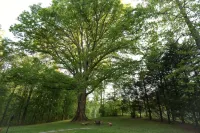 Charlottesville Retreat for Family & Friends - 4つ星