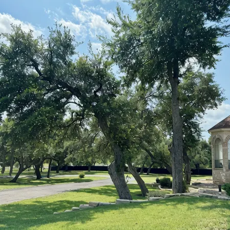 “Amazing Deal” Our French Hill Country Estate on over 3 Acres with Private Pool.