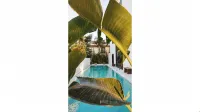 To Be Social House - Pools