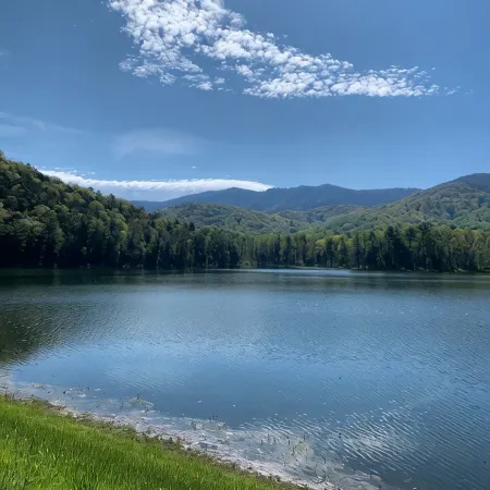 Antler Ridge Cabin -Next to Shenandoah National Park