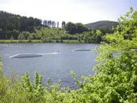 beautifully furnished apartment right on the lake Hillebachstausee