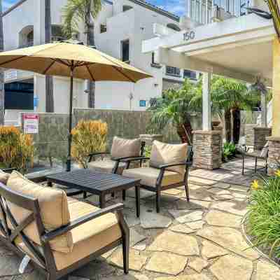 Luxury Ocean View, Across from the Beach #5 Hotel Exterior