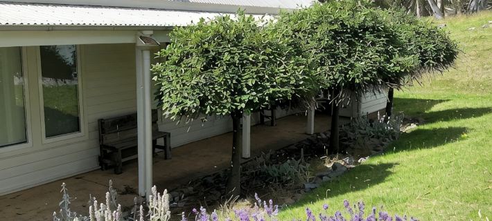 Luxury Snowy Mountains | Sleeps 6 | Crackenback Hotels in Jindabyne