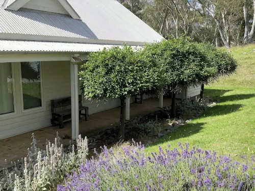 Luxury Snowy Mountains | Sleeps 6 | Crackenback - 4-Star