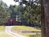 Great rental right in Eclectic area - 3-Star
