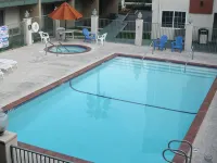 Travelodge Inn & Suites by Wyndham Anaheim on Disneyland Dr - Pools