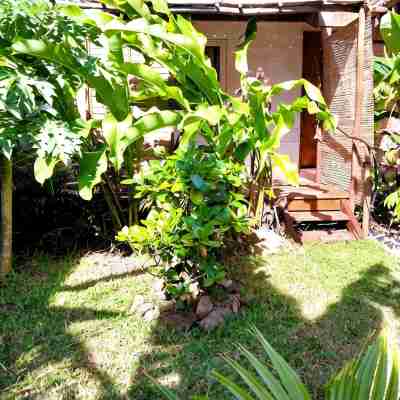 Moorea - Tropical Nest Hotel Exterior