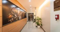 Dccco Hotel - Pool