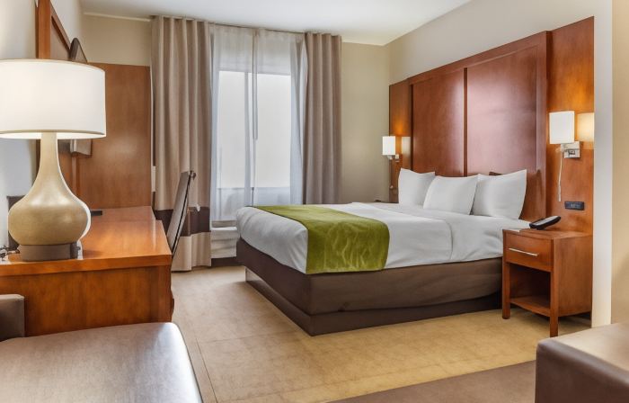 Comfort Suites Dover University Area