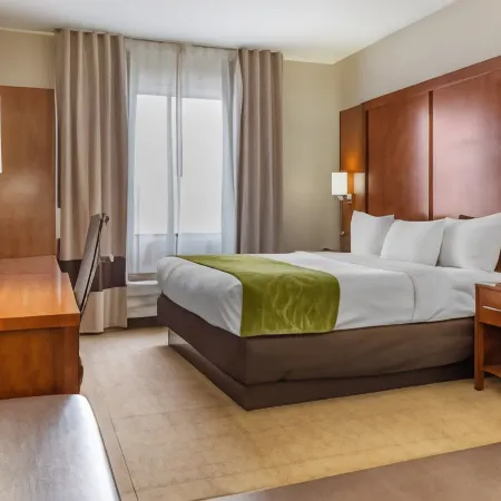 Comfort Suites Dover University Area