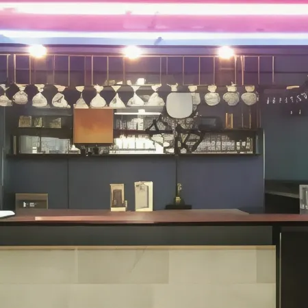 Hotel Mikka
