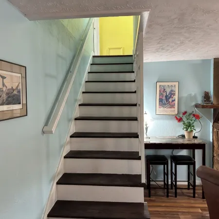 Bear Mountain View 4BR House, 25 min outside of Anchorage.  Pets welcome