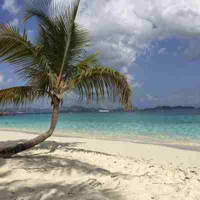 Grande Bay Resort - Indigo Blue Luxury 1BR Condo Beachfront! Fitness & Recreational Facilities