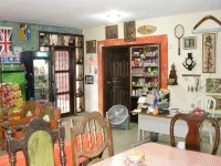 Tamarindo Hostel - 2-Star