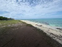 NEW RENTAL!!! Conch Heaven is a four bedroom house on a canal with a dock. - Wi-Fi
