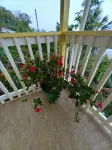 Heavenly Cove Suite - It's your home away from home