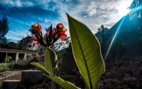 Gubuk Ndeso Bromo - Homestays