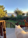 Ocean & River View EVC Hot & Cold Tubs Outdoor Shower Walk to Town Dog Friendly - 4-Star