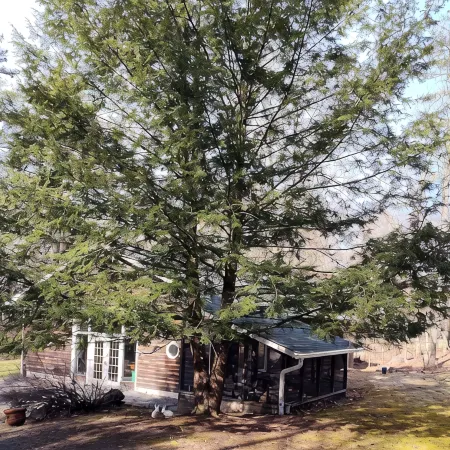 THE HIDDEN COTTAGE Private, Relaxing, Great Location, Has Everything You Need