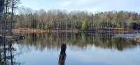 Newly built cabin in cozy wooded setting - Chalets