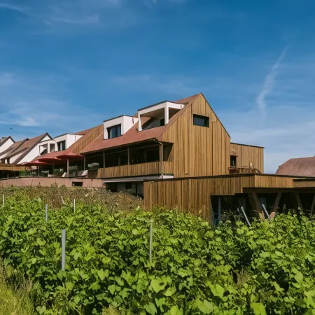 James Vignoble Hôtel, Eguisheim