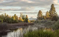 Cozy Fishing Cabin: Hat Creek, Pit River, Fall River, Baum Lake. Burney Falls. - Alphydda