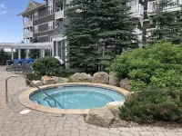 Allegheny Springs Slope Side Penthouse - Amazing Views - Gym