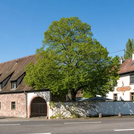 Hotel Restaurant de l'Illwald