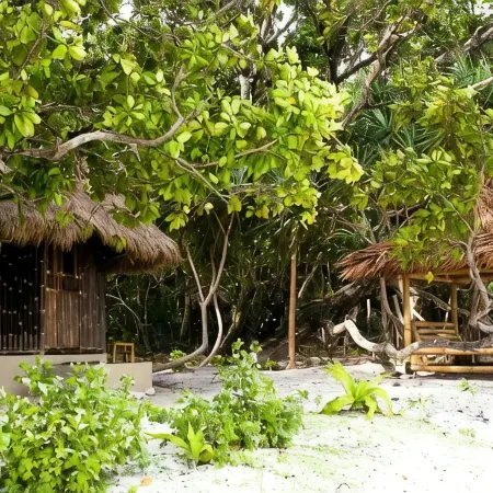 Nikki Peucang Resort