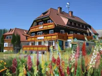 Hotel Zartenbach - Parking