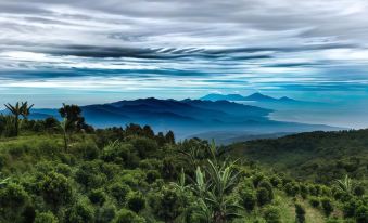 Shankara Munduk Bali