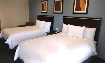 3. SureStay..