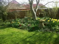 Whitchurch Farm Guesthouse - Виллы