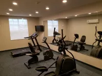 Microtel Inn & Suites by Wyndham Niagara Falls - Træningscentre