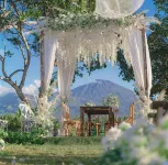 Aranka Tempasan Hotels in Sikur
