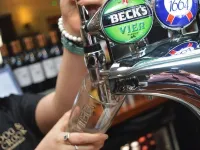 The Dog & Crook - Bar