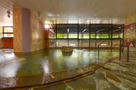 Ooedo Onsen Monogatari Hotel Shinko