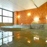Rokumeiso - Hot Springs
