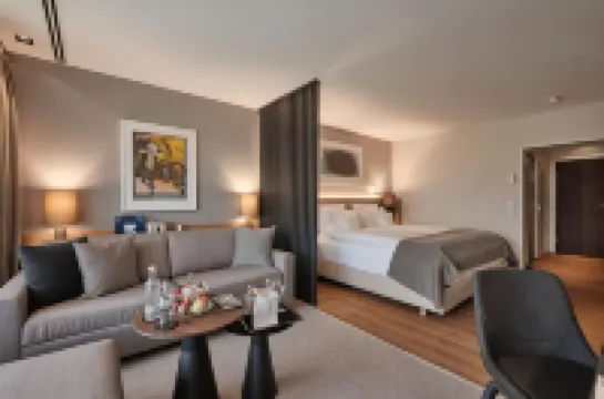 데어 외슈베르크호프 도나우에싱겐 호텔