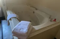Econo Lodge Kalamazoo Near Wings Stadium - Hot Tub