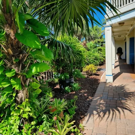 Vanderbilt Beach Resort