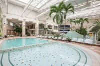 Lotus Therm Spa&Luxury Resort - Pool