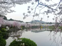 武漢雅詩琪ラグジュアリー  ホテル（武漢大学） 羅家山周辺のホテル