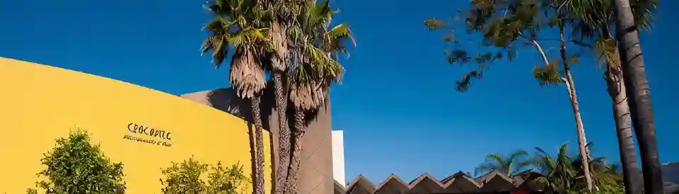 Lemon Tree Inn