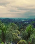 Grand Elty Singgasana Tenggarong - Wi-Fi
