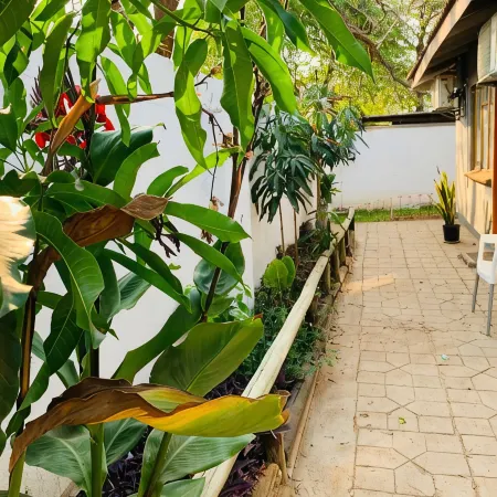 Plateau Guest House