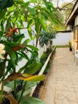 Plateau Guest House