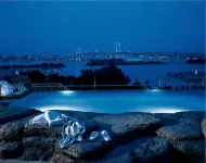 Hilton Tokyo Odaiba - Meerblick