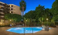 Fullerton Marriott at California State University - Pool
