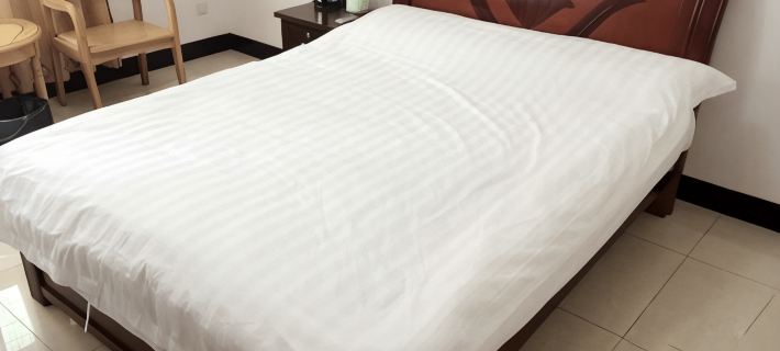 Pingyuan Baishun Building Hotel a Pingyuan